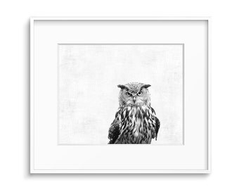 Owl Decor, Bird Prints, Owl Art, Wall Art, Printable Art, Digital Download, Art Prints, Owl Wall Decor, Black and White, Modern, Art, Prints