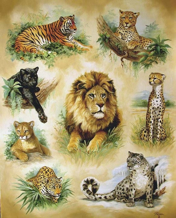 Cross stitch cat Cross stitch pattern Lion pantera