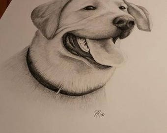 Custom Drawn Pet Portrait