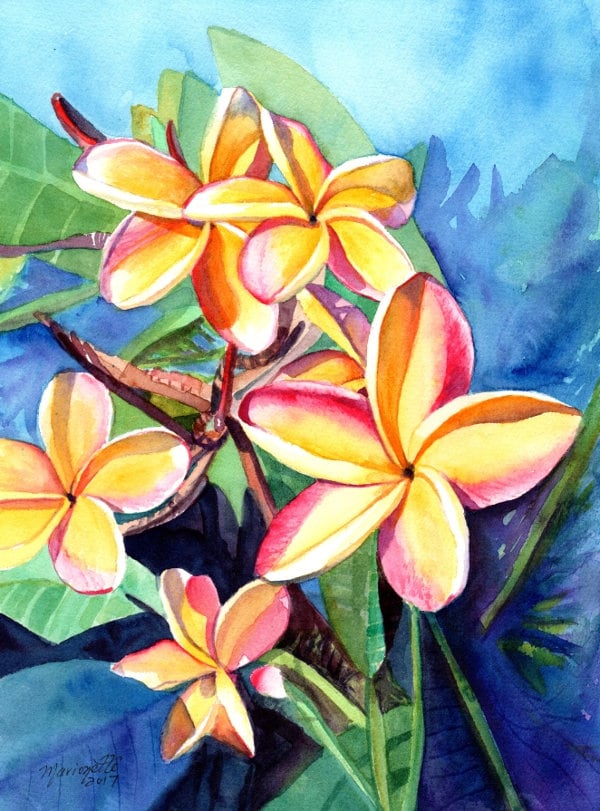 Plumeria Watercolor Tropical Flowers Frangipani Art 