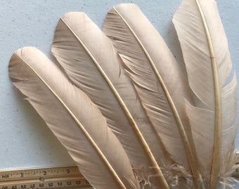 TURKEY QUILL, Beige, Oatmeal , 4 pieces / Q-19
