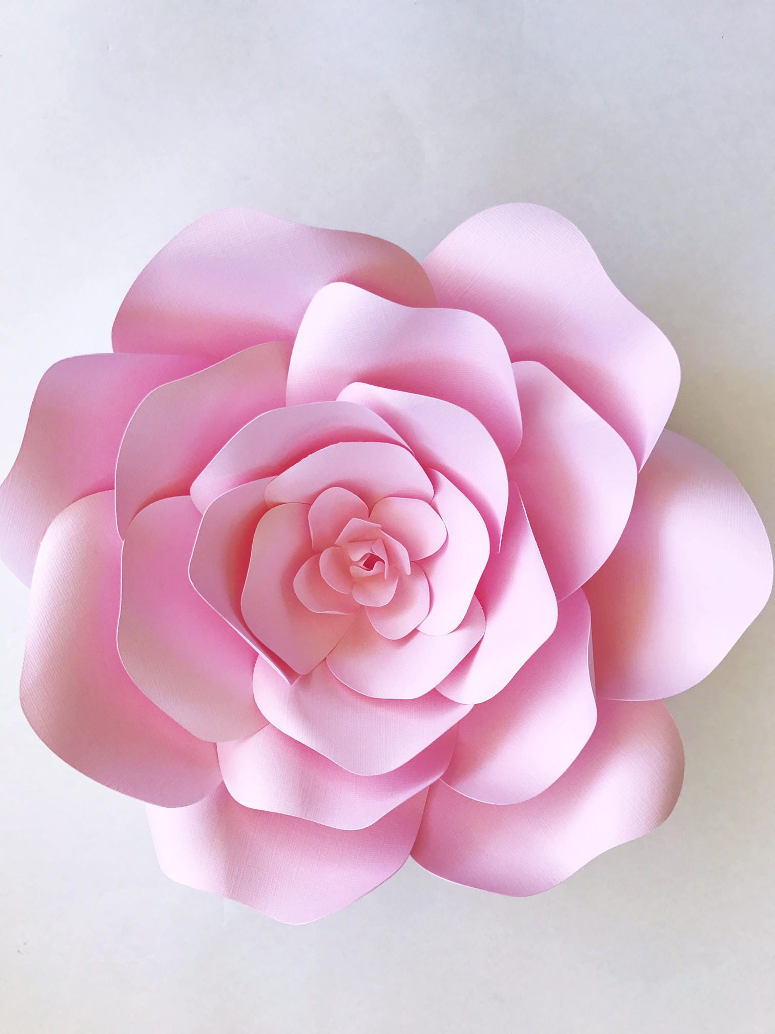 Paper flower template paper flower wall DIY paper flower