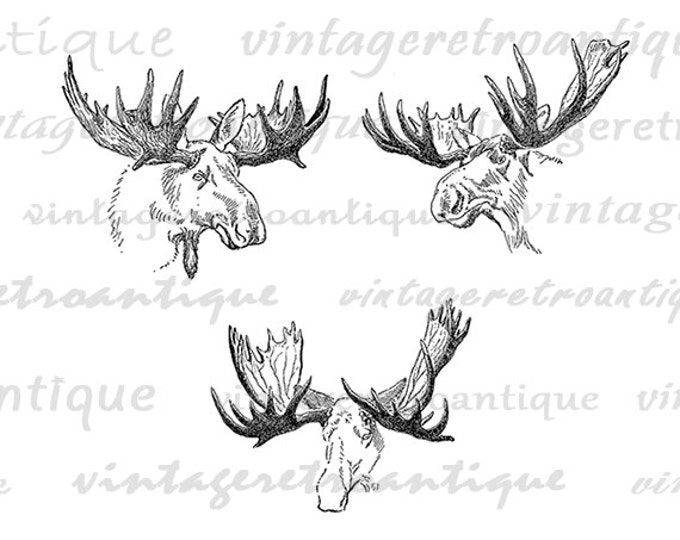 Digital Printable Moose Antlers Image Set Collage Sheet Download Illustration Graphic Artwork Antique Clip Art HQ 300dpi No.1217