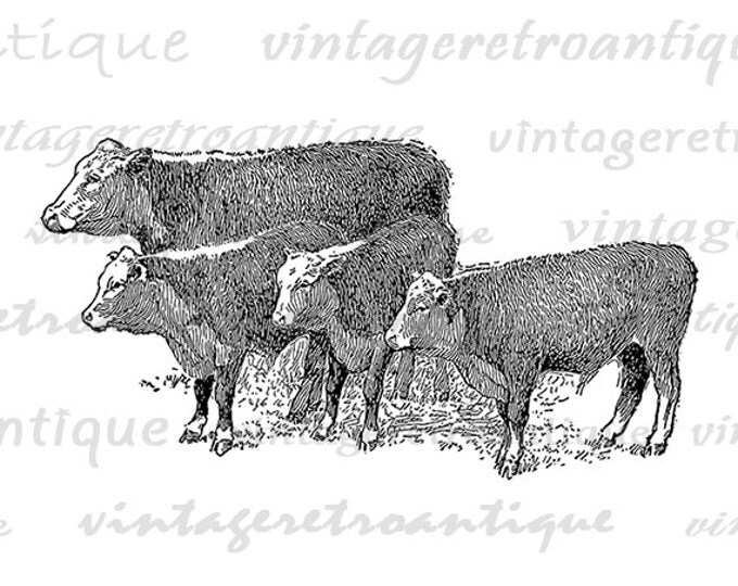 Printable Image Cows Antique Graphic Farm Animal Digital Download Vintage Clip Art Jpg Png Eps HQ 300dpi No.3588