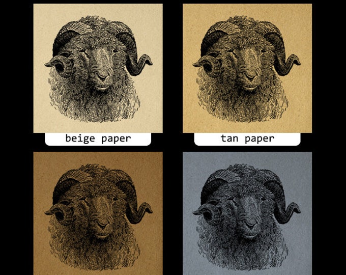 Printable Digital Sheep Ram Image Head Horns Download Graphic Antique Clip Art Jpg Png Eps HQ 300dpi No.3067