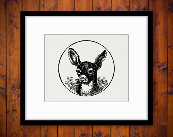 Baby Deer Printable Digital Graphic Fawn Download Circle Image Illustration Vintage Clip Art Jpg Png Eps HQ 300dpi No.1977