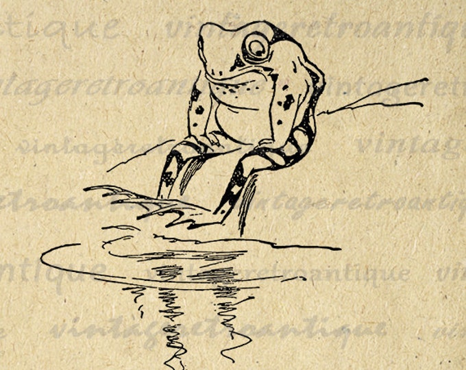 Digital Graphic Sitting Frog Image Cartoon Download Printable Vintage Clip Art Jpg Png Eps HQ 300dpi No.2032