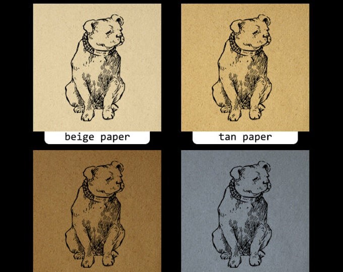 Digital Printable Antique Dog Image Cute Antique Graphic Download Vintage Clip Art Jpg Png Eps HQ 300dpi No.287