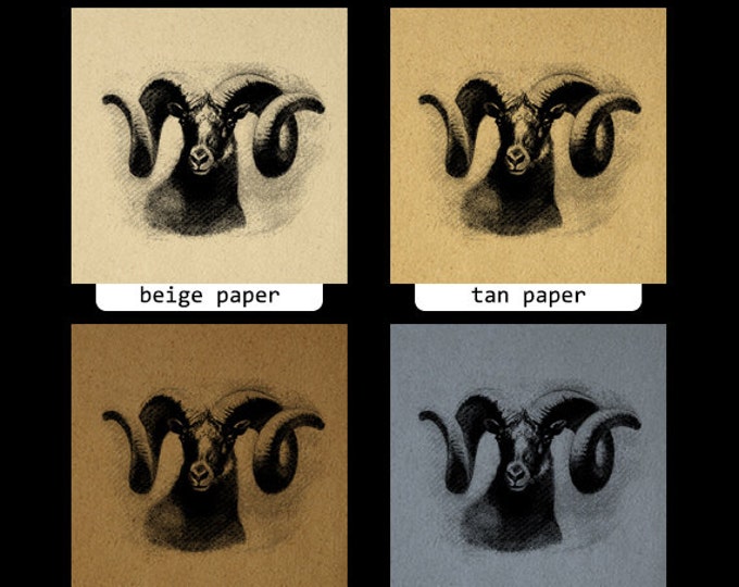 Ram Goat Image Graphic Digital Horns Animal Download Illustration Printable Vintage Clip Art Jpg Png Eps HQ 300dpi No.920