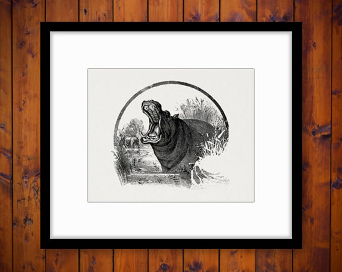 Digital Printable Hippo Image Hippopotamus Download Graphic Vintage Clip Art Jpg Png Eps HQ 300dpi No.312