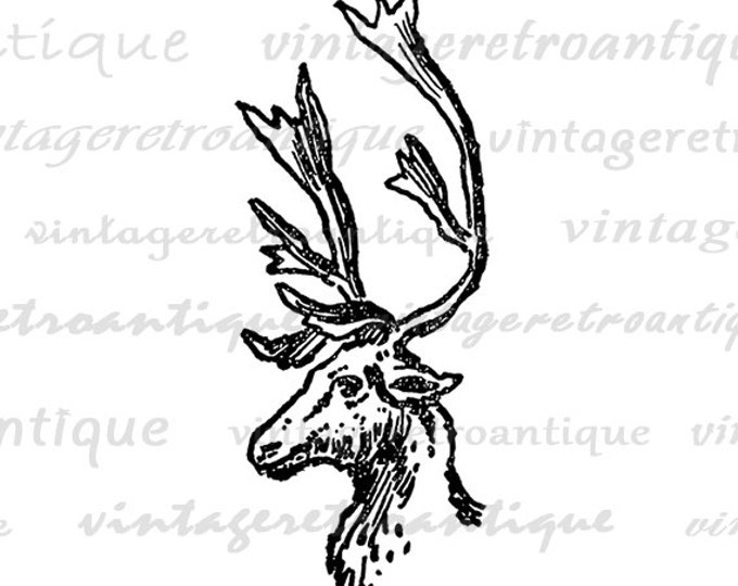 Digital Image Reindeer Deer Graphic Download Printable Artwork for Transfers Pillows Tea Towels etc HQ 300dpi No.2408