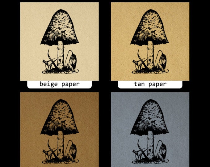 Antique Mushroom Digital Graphic Printable Download Illustration Image Vintage Clip Art Jpg Png Eps HQ 300dpi No.3584