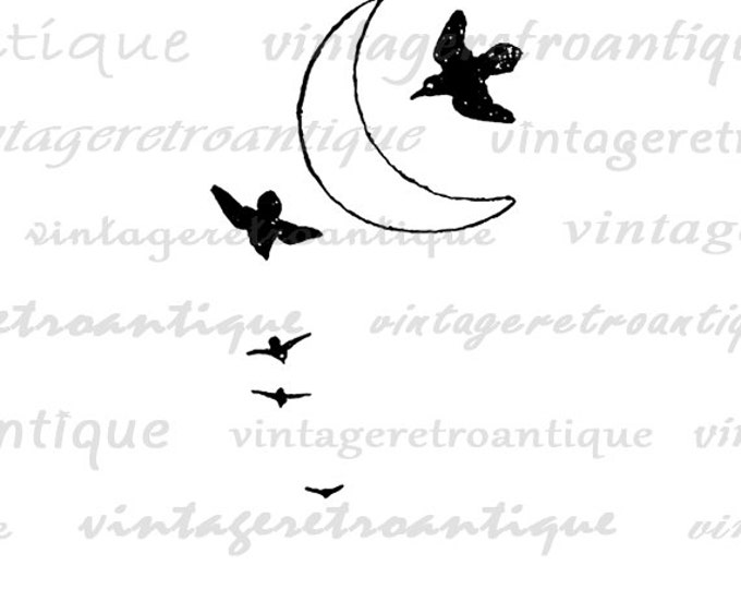 Printable Birds Crescent Moon Graphic Image Illustrated Download Digital Vintage Clip Art Jpg Png Eps HQ 300dpi No.947