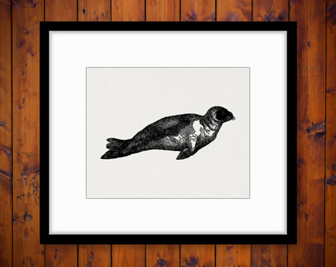 Printable Seal Image Download Digital Graphic Artwork Antique Clip Art Jpg Png Eps HQ 300dpi No.2618