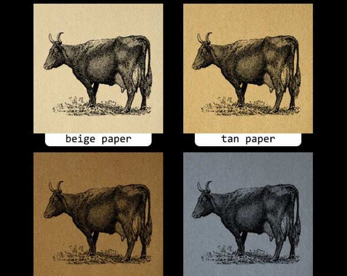 Printable Devon Cow Digital Graphic Farm Animal Image Download Antique Clip Art Jpg Png Eps HQ 300dpi No.3515