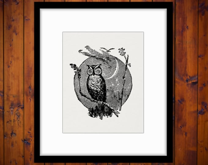 Owl Image Digital Download Owl with Moon Graphic Printable Artwork Vintage Clip Art Jpg Png Eps HQ 300dpi No.4560