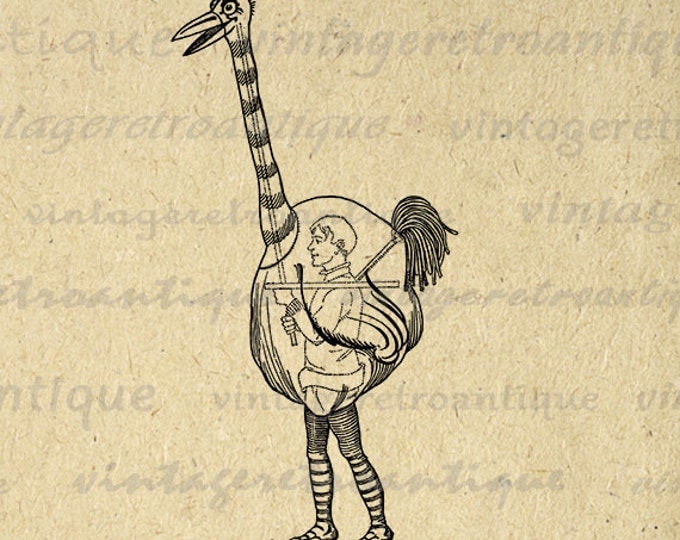 Ostrich Bird Costume Digital Printable Image Graphic Download Illustration Vintage Clip Art Jpg Png Eps HQ 300dpi No.2183