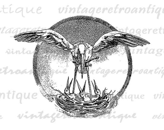 Printable Bird Feeding Baby Birds Graphic Download Bird Nest Image Digital Antique Clip Art Jpg Png Eps 18x18 HQ 300dpi No.250