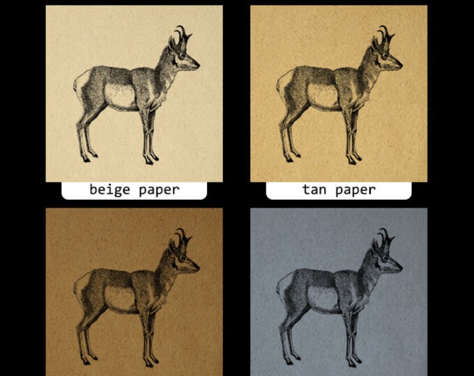 Digital Printable Antelope Graphic Download Animal Image Illustration Vintage Clip Art Jpg Png Eps HQ 300dpi No.2092