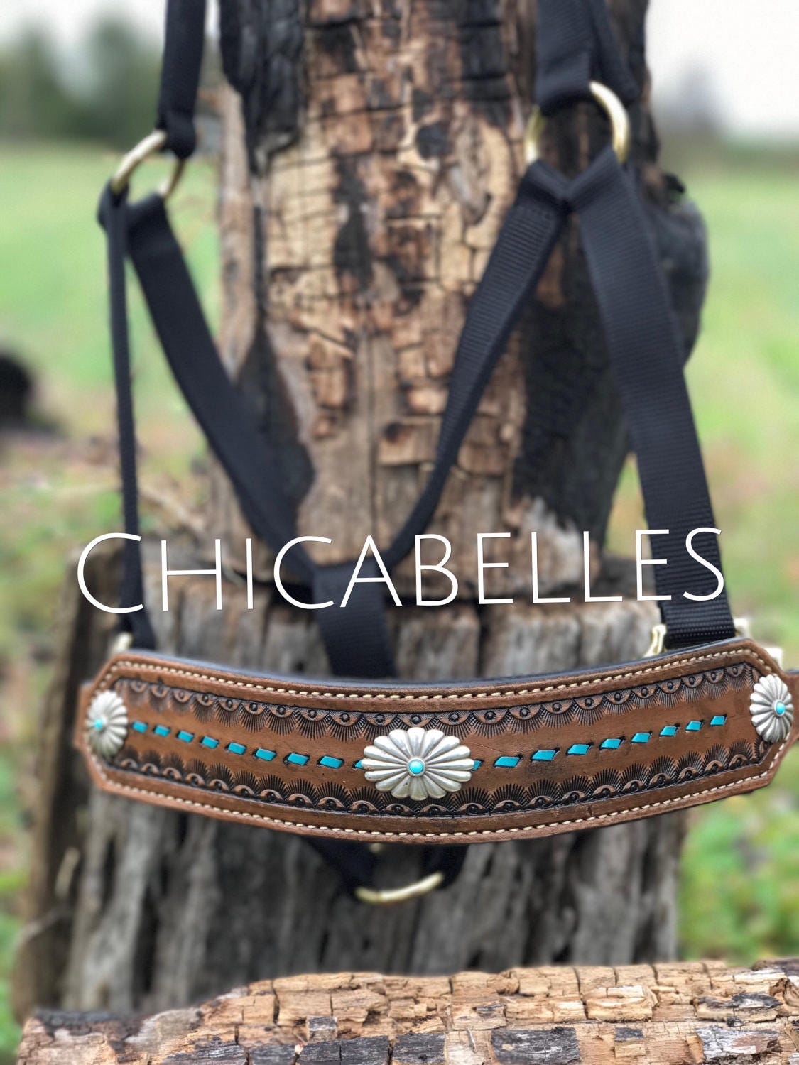 Leather Bronc Halter with Buckstitching by ChicaBelles on Etsy