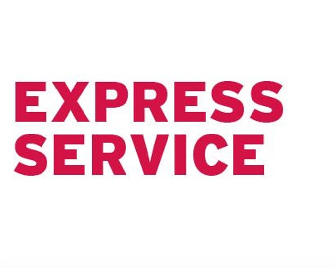 express service/faster shipping/express shipping
