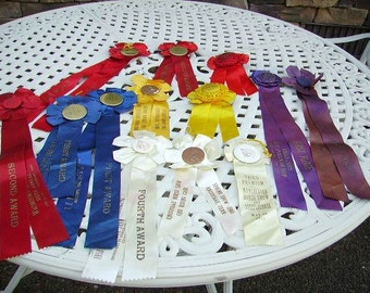 Vintage 1940's Horse Show Ribbons Lot of 13/Fantastic Colors