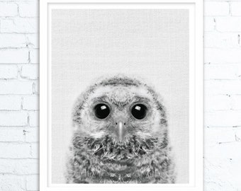 Owl Decor, Owl Print, Woodlands Nursery Wall Art, Printable Poster, Black White and Grey, Animal Photo, Kids Room, Digital Download