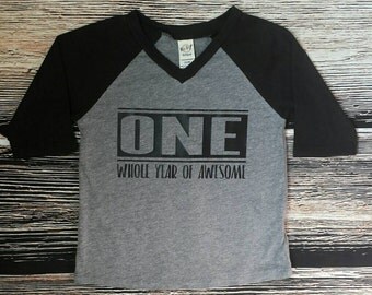 First Birthday Boy Shirt, One Whole Year of Awesome, Birthday Boy Shirt