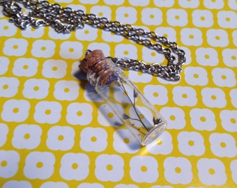 Collar small vial plant