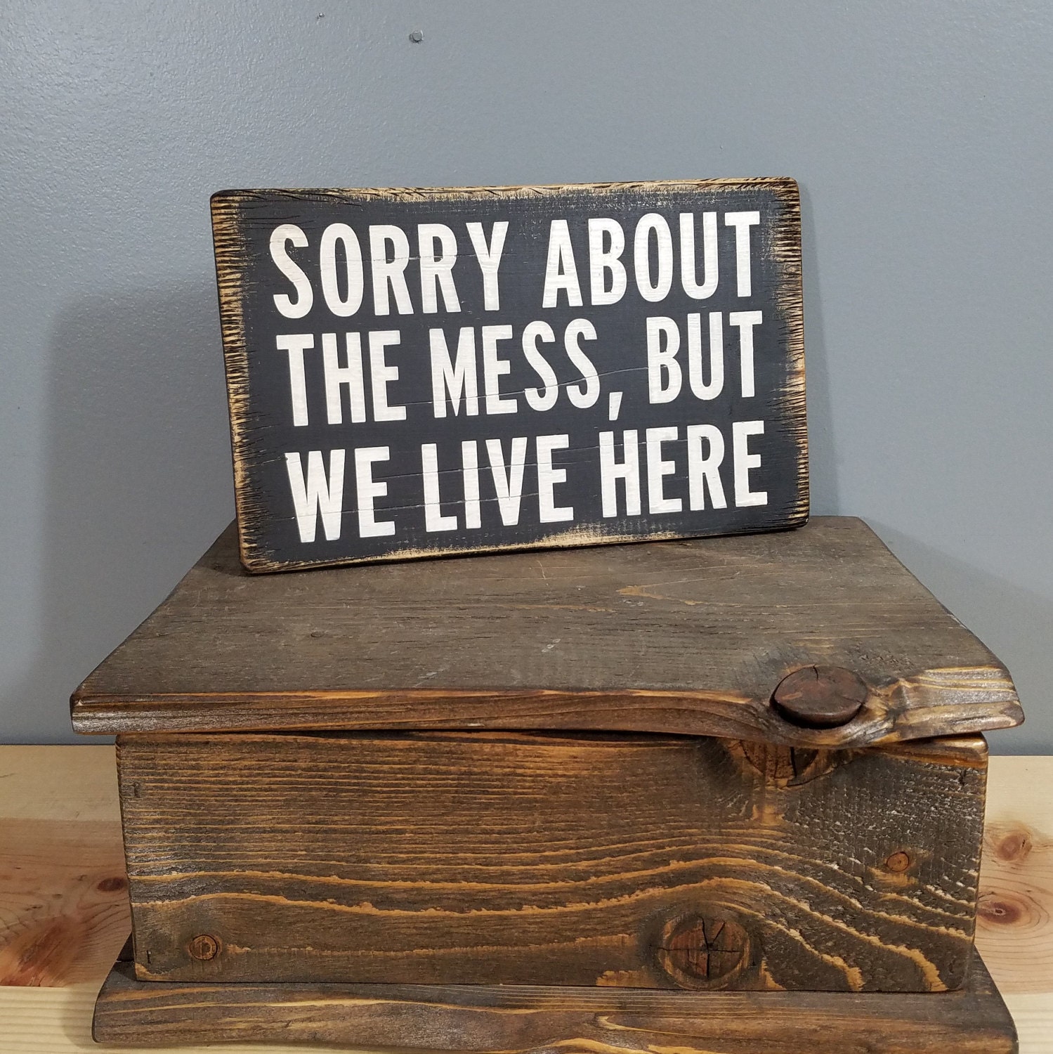 PLEASE HOLD Sorry About the Mess But We Live Here Hand