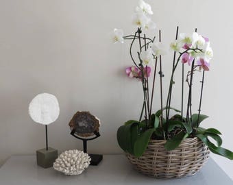 Large Grey Washed Wicker Planter - Indoor / Outdoor