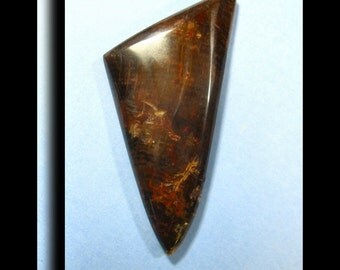 Petrified Palm Designer Cabochon 6166