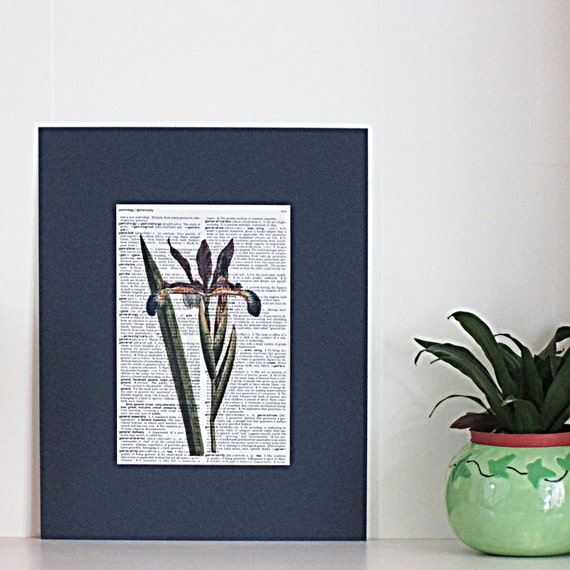 Iris Print Iris Flower Print Botanical by MyBooklandia on Etsy