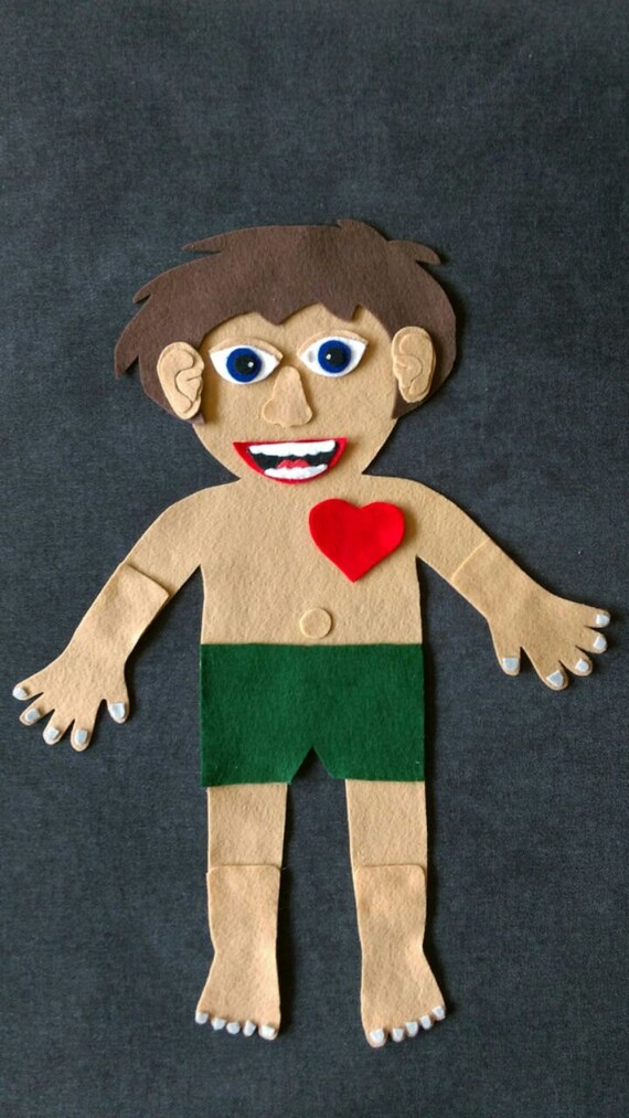 Body Parts Felt Set // Preschool // Flannel Board // Anatomy