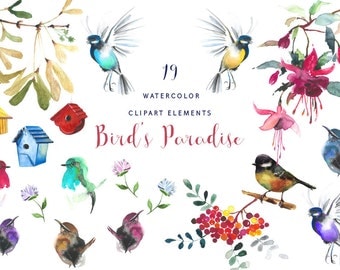Watercolor Bird Clipart, handpainted watercolor bird illustration, DIY