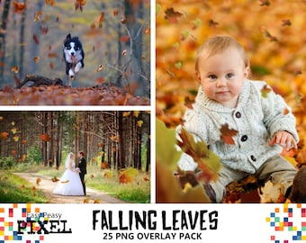 FALLING LEAVES OVERLAYS, Leaves Overlays, Photoshop Overlays, Autumn Leaves, Autumn Overlays, Falling Leaves, Photoshop Leaves, Fall