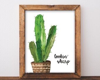 Cactus By Cactus