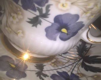 Vintage tea cup and saucer by Royal Adderley