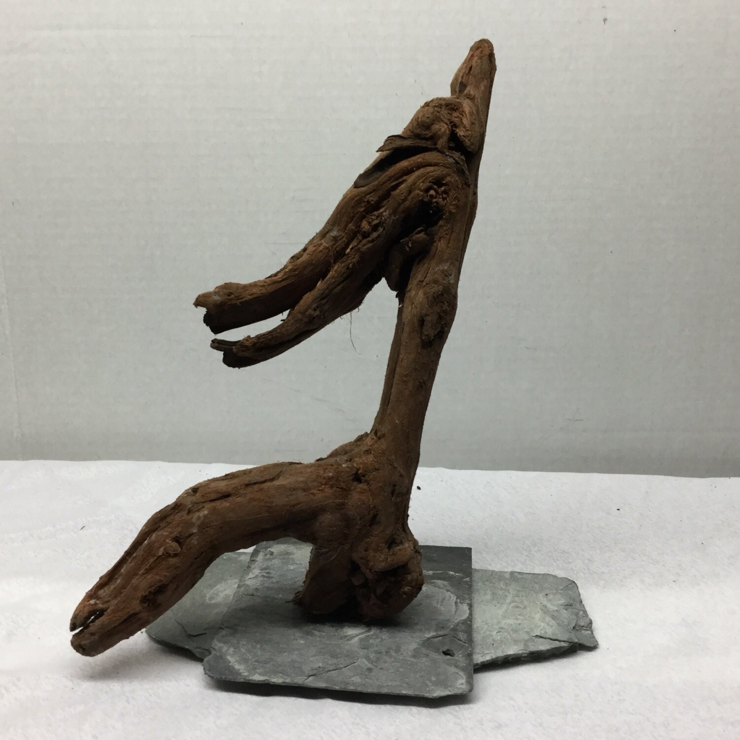 Cedar Driftwood for Sale 10 x 8 x 5