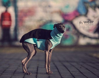 Italian greyhound clothing - blue comfortable jumper for iggy / fits perfect