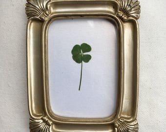 Real Four Leaf Clover in Small Gold Frame (Rectangle)