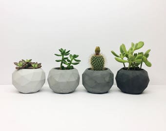 Geometric Concrete Planter