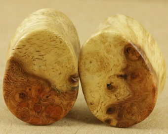Amboyna burl teardrop plugs | 19mm (3/4")