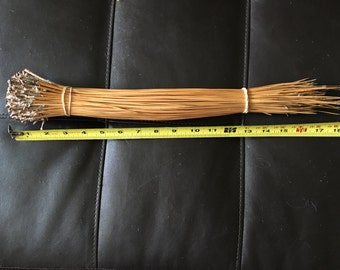 Florida Long leaf pine needles
