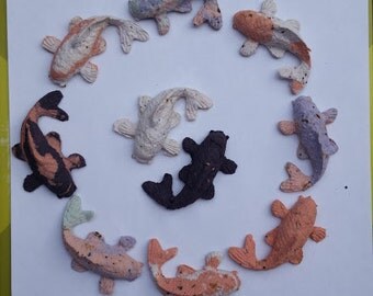 Koi Seed Bombs 5, 10, or 15 Organic GMO Free Wild Flower Seed Bombs
