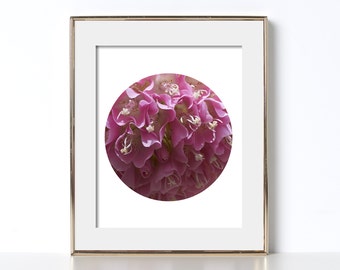 Pink Flower Petal Art Digital Download Printable Art Garden Vibes Noir Wedding Printable Chic Design Nursery Wall Decor Cute Flower Art Nest