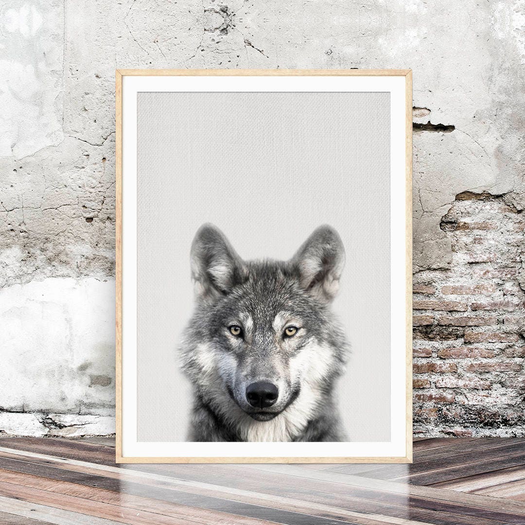 Printable Wolf Animal Wall Art Wolf Forest Wall Art Woodland