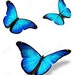 msrere79