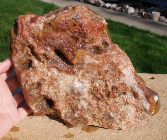 dinosaur poop rocks