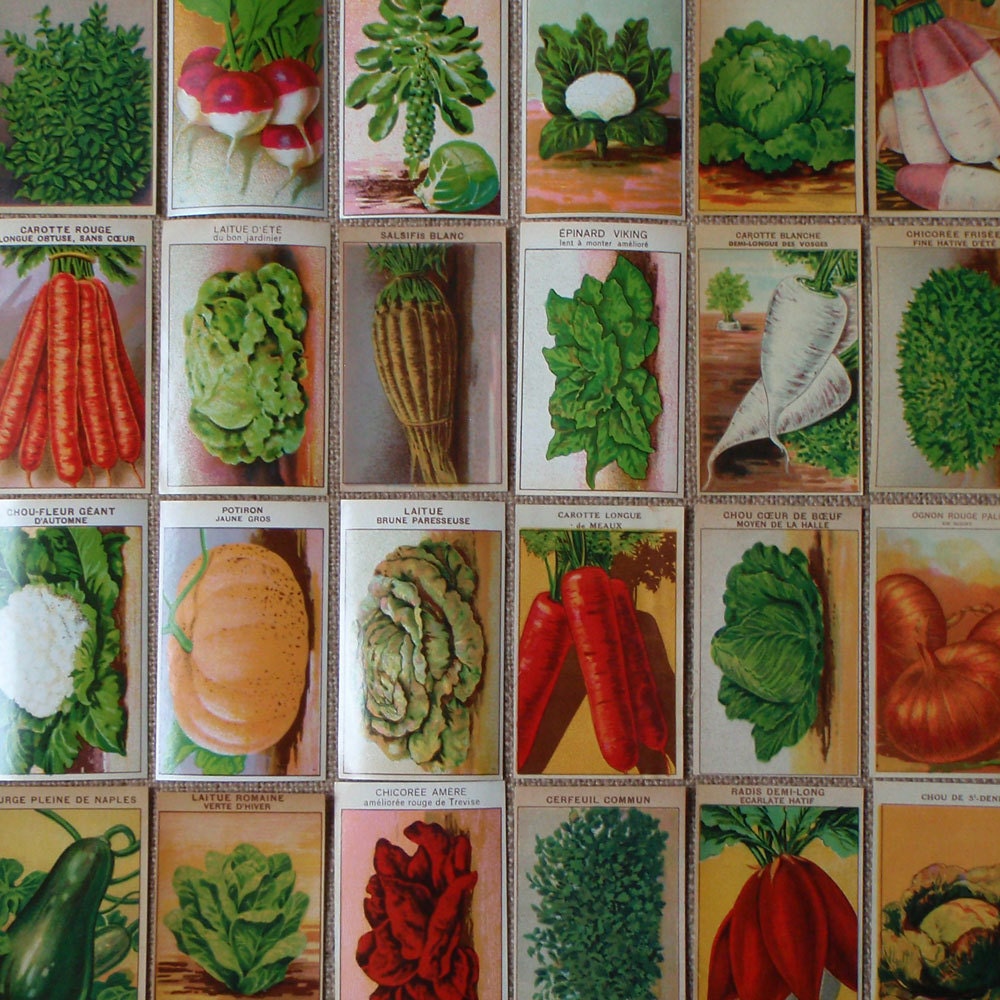 Botanical prints 24 vintage Labels for Vegetable Seed Packets